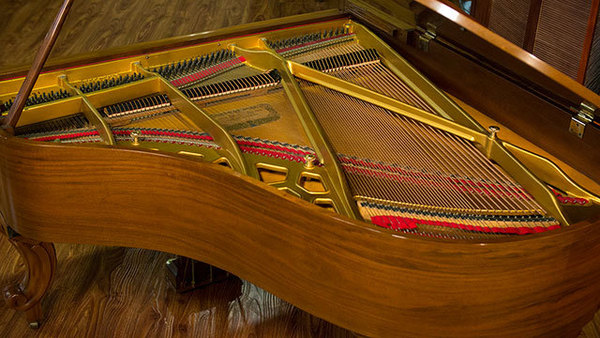 生活鋼琴 photo 8