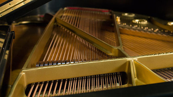 生活鋼琴 photo 5