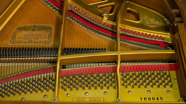 生活鋼琴 photo 4