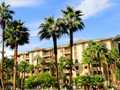 Tahiti Village Resort & Spa photo 13