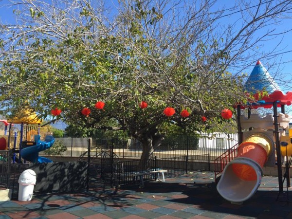 許老師幼稚園 photo 1