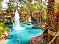 Westgate Flamingo Bay Resort Las Vegas photo 2