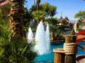 Westgate Flamingo Bay Resort Las Vegas photo 15