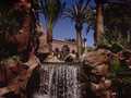 Flamingo Las Vegas photo 17