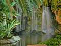 Flamingo Las Vegas photo 16