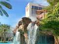 Flamingo Las Vegas photo 13