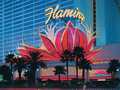Flamingo Las Vegas photo 19