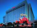 Flamingo Las Vegas photo 20