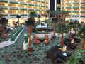 Embassy Suites Hotel Las Vegas 图片 5