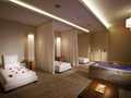 Tropicana Las Vegas 图片 1