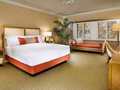 Tropicana Las Vegas 图片 16