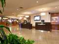 Westin Las Vegas Hotel photo 5