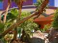 Rio Suite Hotel Casino photo 13