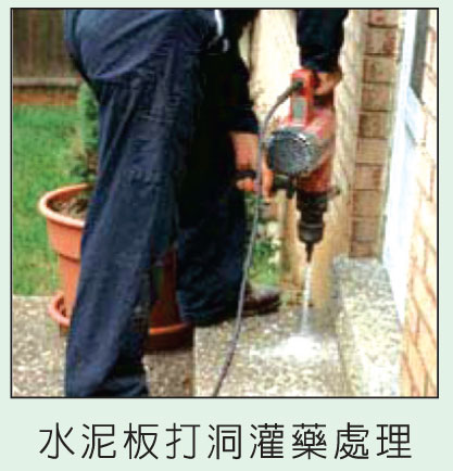 誠信殺蟲消毒服務公司 图片 2