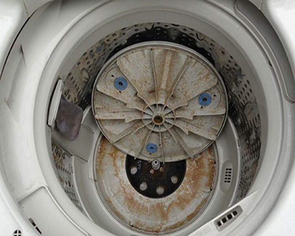 愛佳專業清潔公司 photo 4