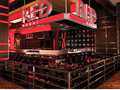 Golden Nugget Hotel & Casino Las Vegas photo 4