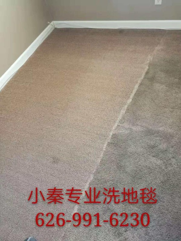 小秦專業洗地毯服務公司 photo 7