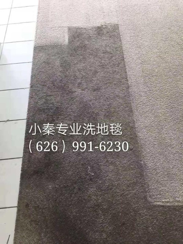 小秦專業洗地毯服務公司 photo 4