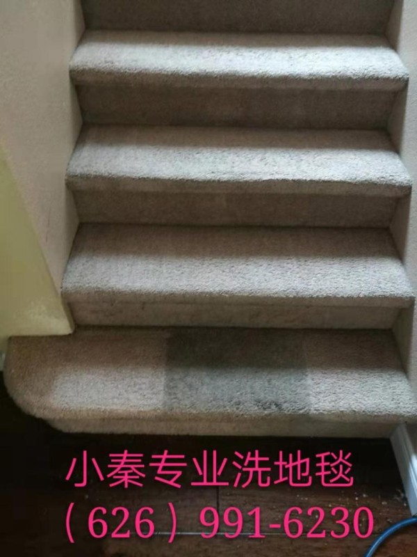 小秦專業洗地毯服務公司 photo 2