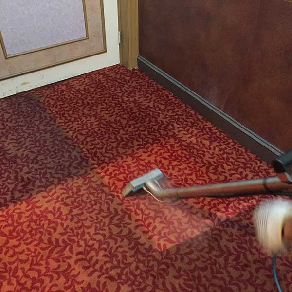 小秦專業洗地毯服務公司 photo 6