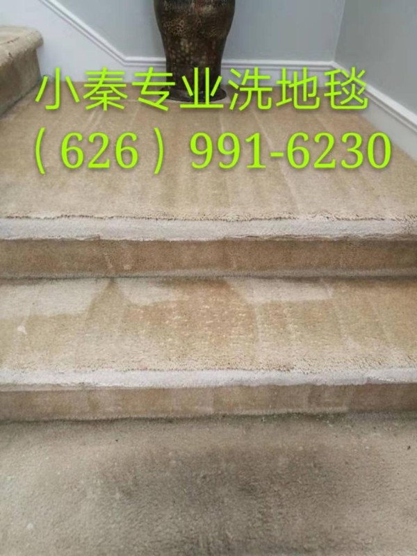 小秦專業洗地毯服務公司 photo 5