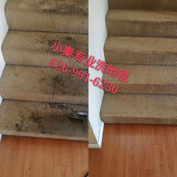 小秦專業洗地毯服務公司 photo 3