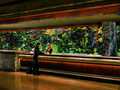 The Mirage photo 2