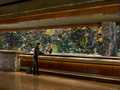The Mirage photo 9