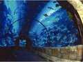 Mandalay Bay Resort And Casino 图片 16