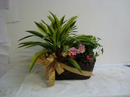遠東花藝園‧花坊‧花店 photo 8
