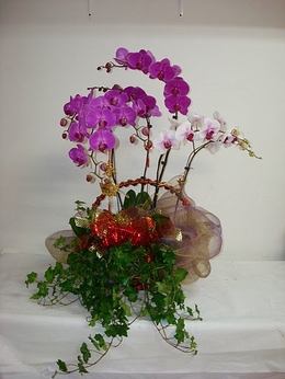 遠東花藝園‧花坊‧花店 photo 6