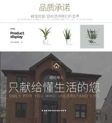 纽约华人装修首选装出你的生活,饰出你的品味 选择我,就是选择专业  给您一个独一无二的家  9292858858 图片 3