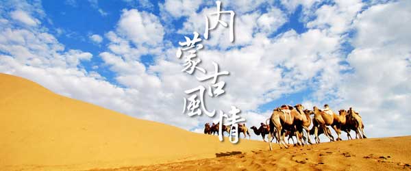 達誠旅遊 图片 1