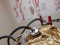 三慧艾灸工作室(三慧国际公司) - SAN WISDOM INTERNATIONAL CORPORATION photo 3