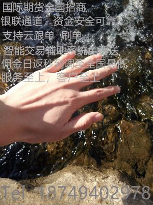 香港日发国际期货招商一个适合你的金融项目 photo 1