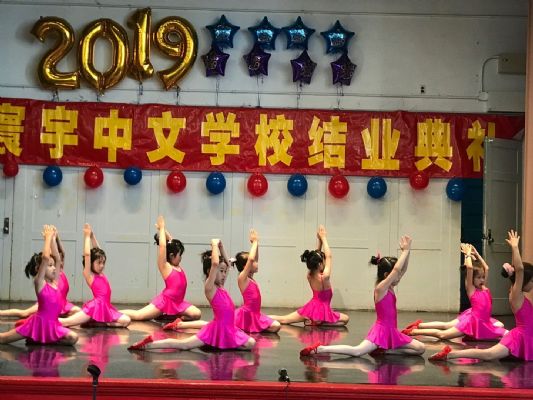 环宇中文学校暑期班网课 图片 2