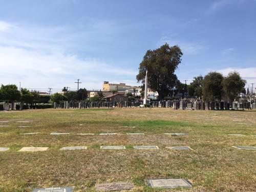 長青墓園及火葬場 photo 6