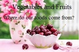 电子版儿童英文读物 Where our Veggies and Fruits are coming from 图片 1