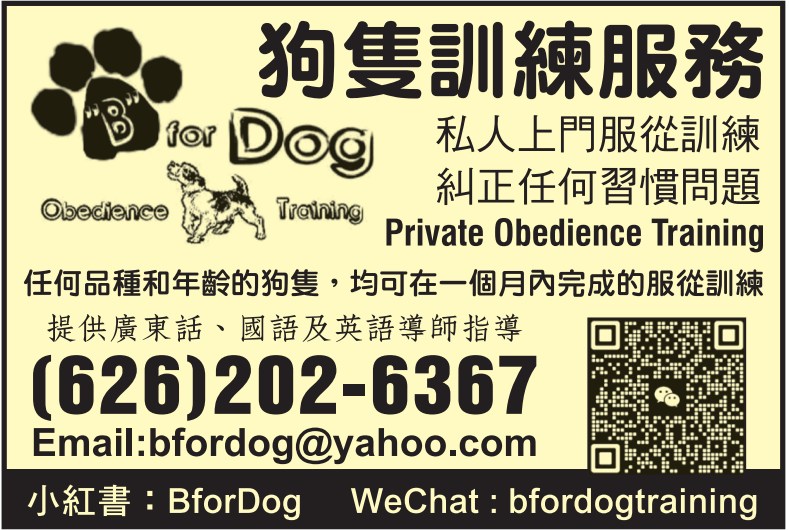 忠犬俱樂部 图片 6