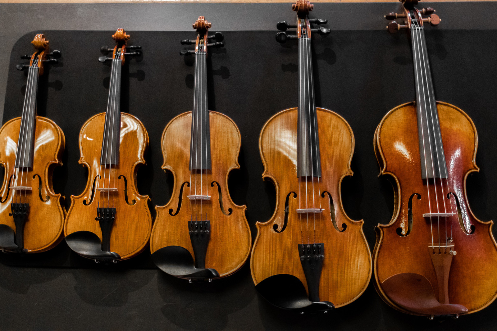 波士顿贝多芬钢琴小提琴学校 Boston Beethoven Piano Violin School photo 5