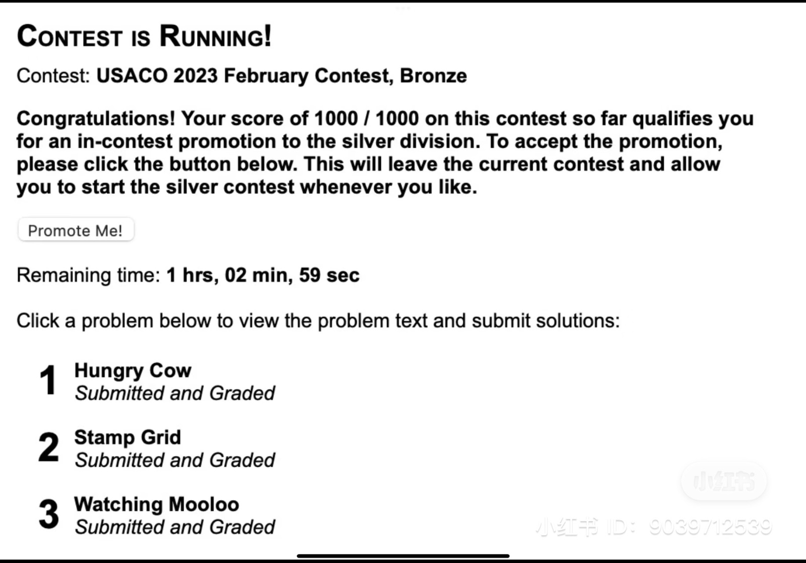 Competitive Math and Programming Tutoring for Students photo 6