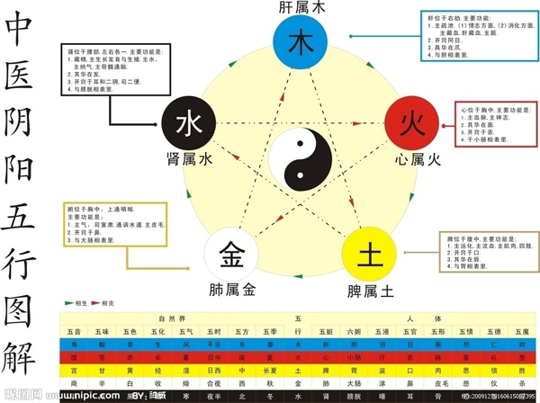 大圓滿中醫診所─祝淩雲中醫師 photo 3