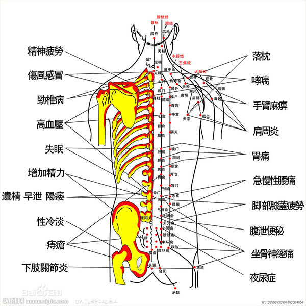 炎黃中醫 photo 5