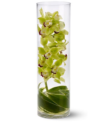 芙蓉花坊 图片 3