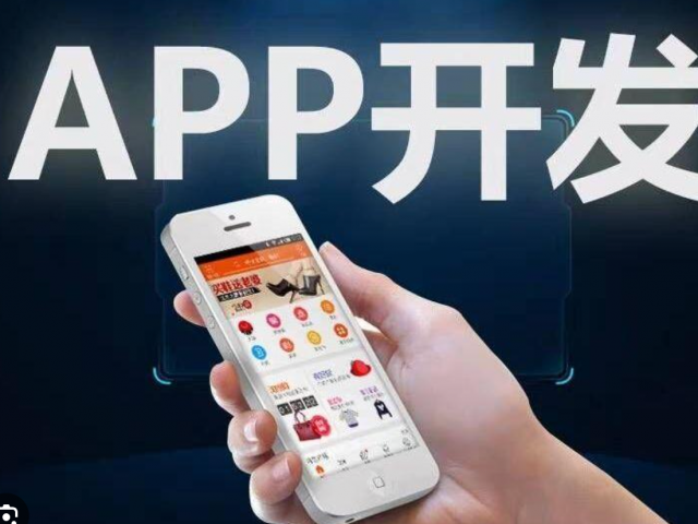 美国纽约网络平台搭建/APP开发/软件小程序开发/网页网站建站/龙字节网络科技 [app开发]