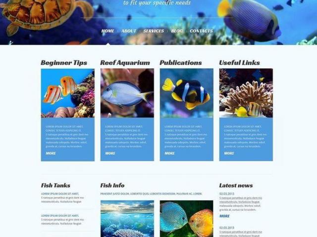 美国水族館寵物店美容院貓狗網站建設網頁設計518-956-5673