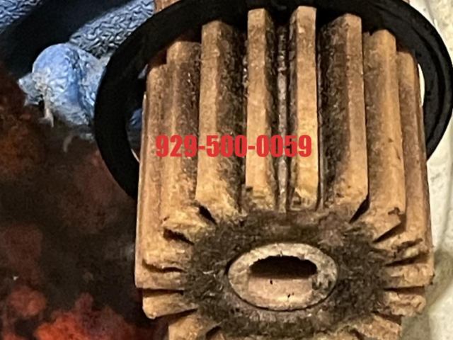纽约蓝天冷暖上门维修安装团队—油炉维修滤芯更换烟囱定期清理929-500-0059