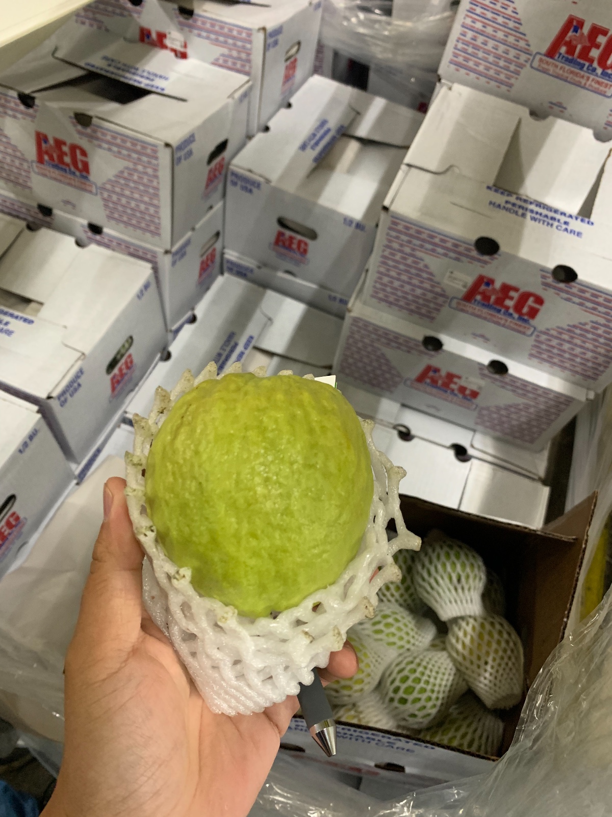 Houston-area high-profit food wholesale company for sale at low price photo 6