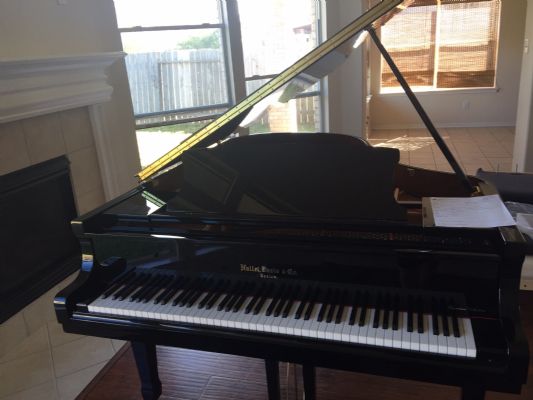 Grand piano for sale, 95 new [grand piano]