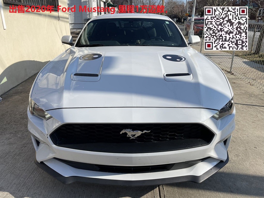出售2020年 Ford Mustang (野马) 里程1万迈数 图片 2